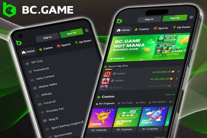 Exploring BC.Game Online The Premier Crypto Casino Experience in India